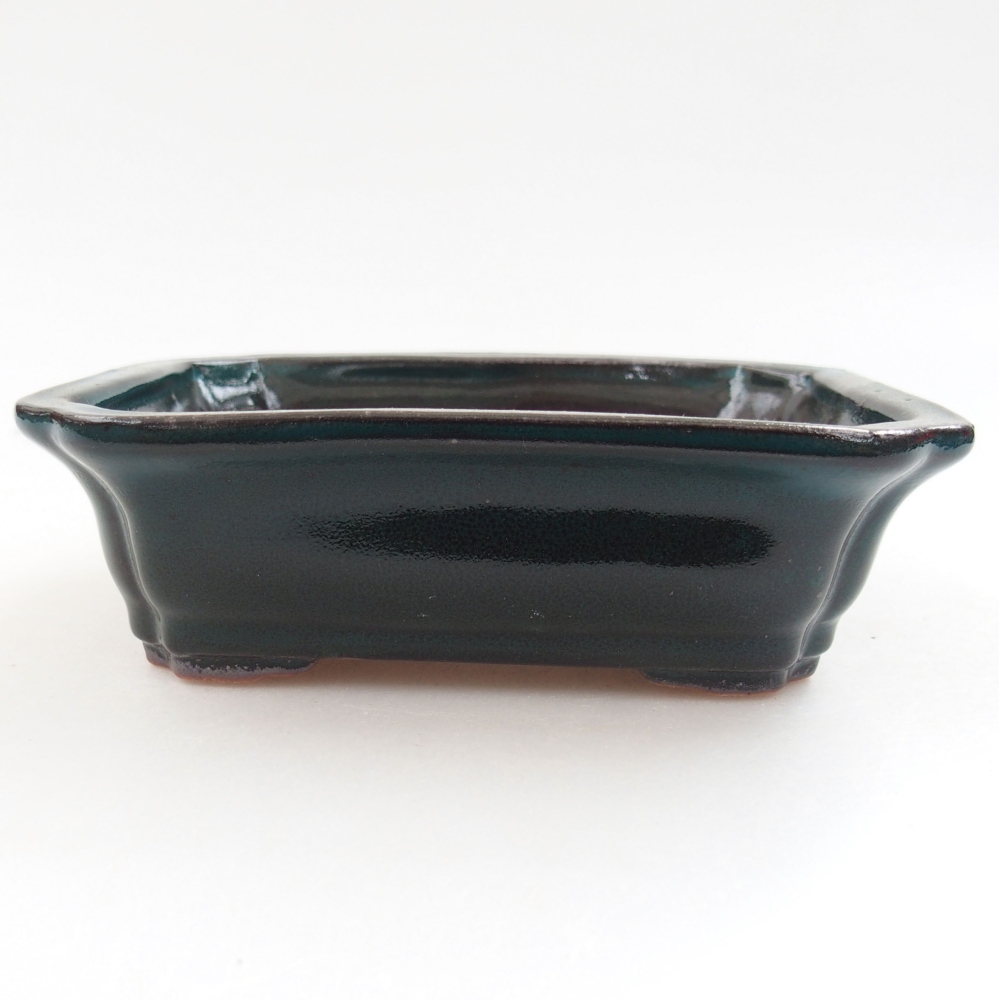 Bol à bonsaï en céramique 22 x 17 x 5 cm, vert