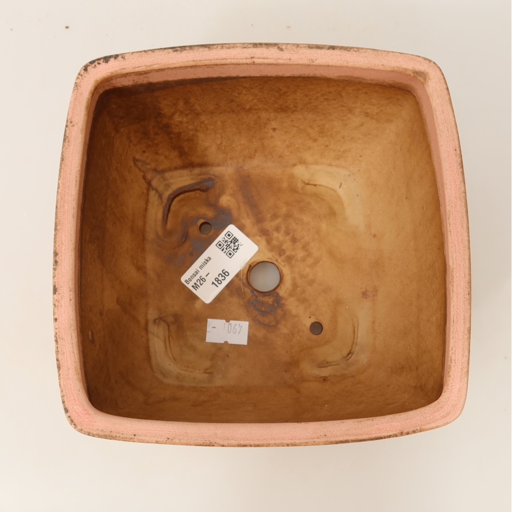 Pot à bonsaï en céramique 16,5 x 16,5 x 9,5 cm, couleur rose