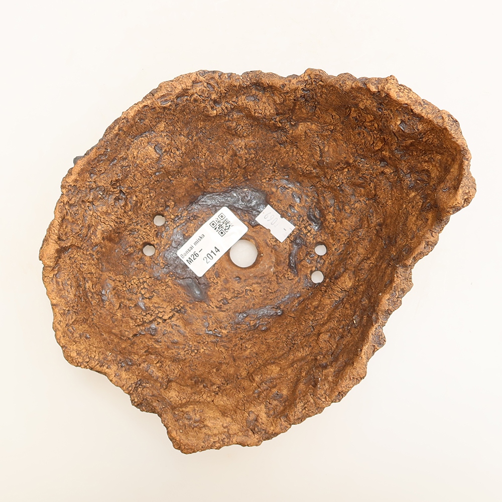 Coquille en céramique 19 x 17 x 13 cm, couleur marron