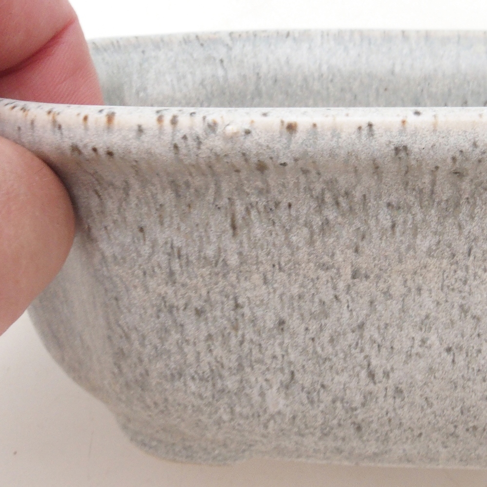 Bol à bonsaï H31 - 14 x 12 x 5,5 cm - beige