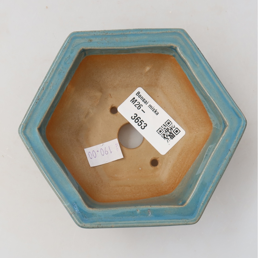 Bol à bonsaï en céramique 12 x 10,5 x 4,5 cm, couleur bleu