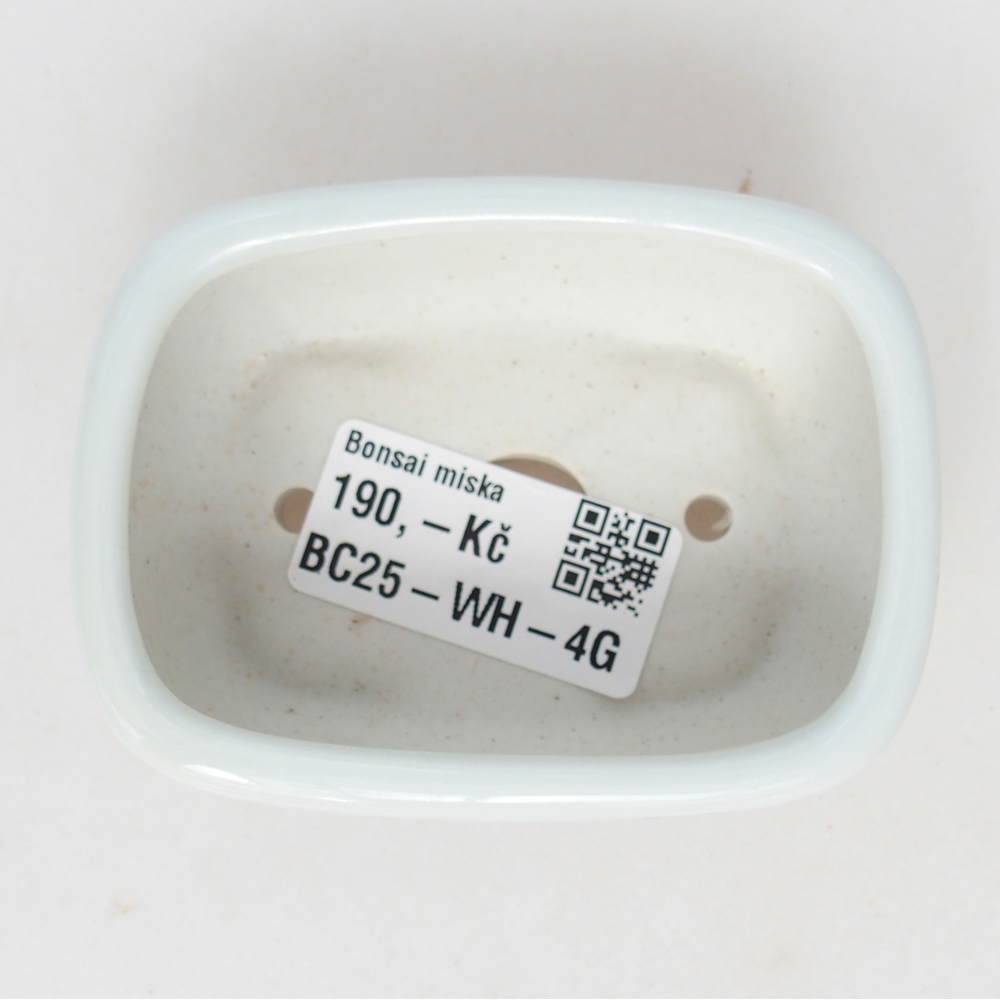 Mini bol bonsaï 8 x 6 x 3 cm, blanc