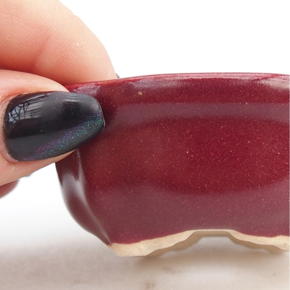 Mini bol bonsaï 6,5 x 6,5 x 3 cm, bordeaux