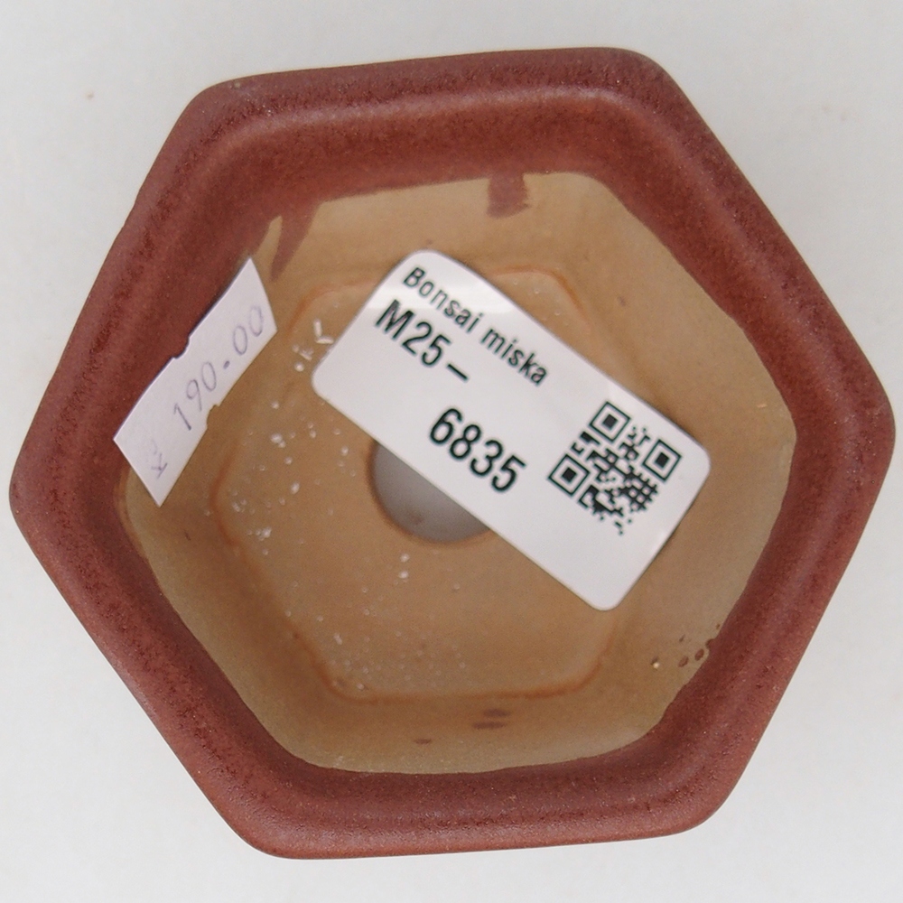Bol à bonsaï en céramique 7,5 x 7 x 4 cm, brun