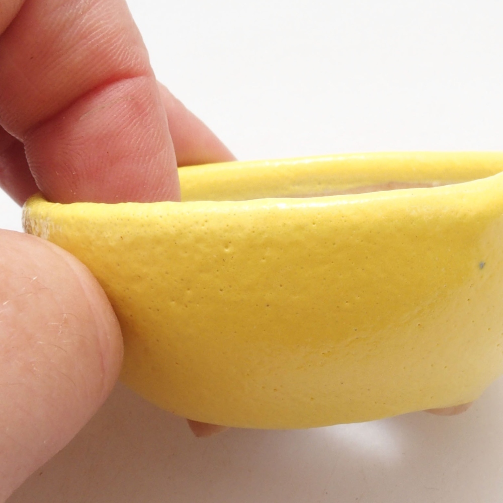 Bol à bonsaï en céramique 6 x 6 x 2,5 cm, jaune