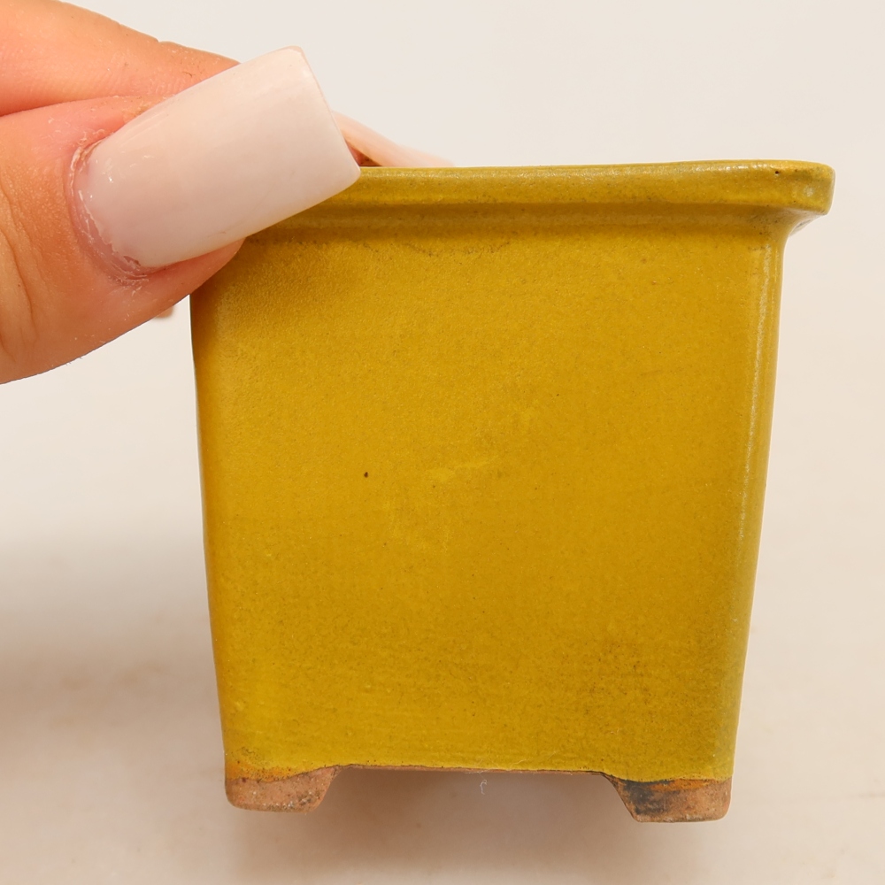 Pot à bonsaï en céramique 6 x 6 x 5,5 cm, couleur jaune