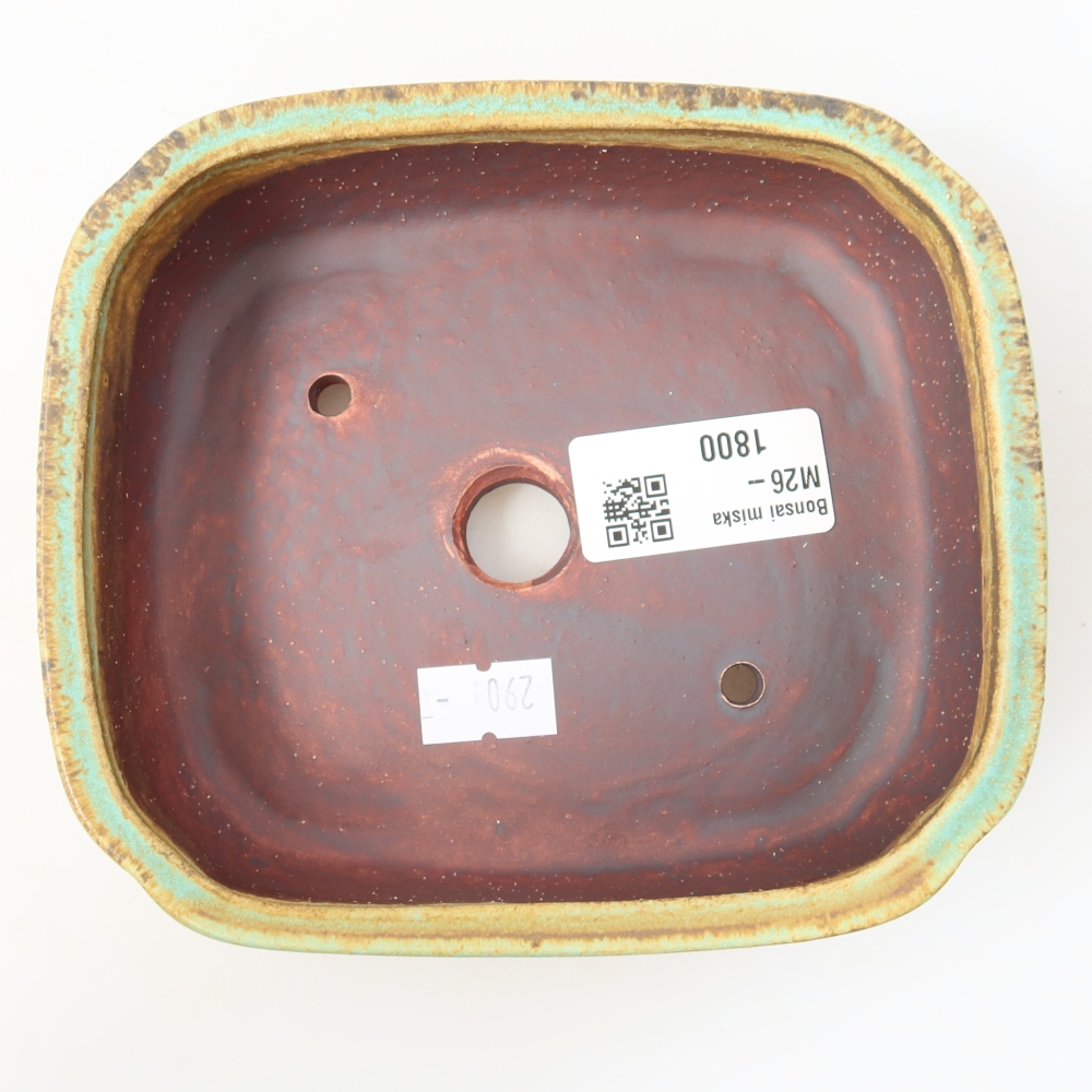 Pot à bonsaï en céramique 14 x 12 x 4 cm, couleur verte