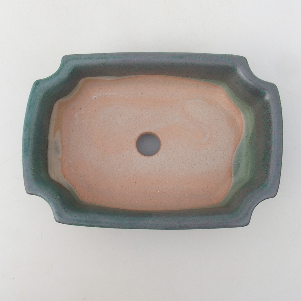Bol à bonsaï H17 - 15 x 10 x 4 cm - vert