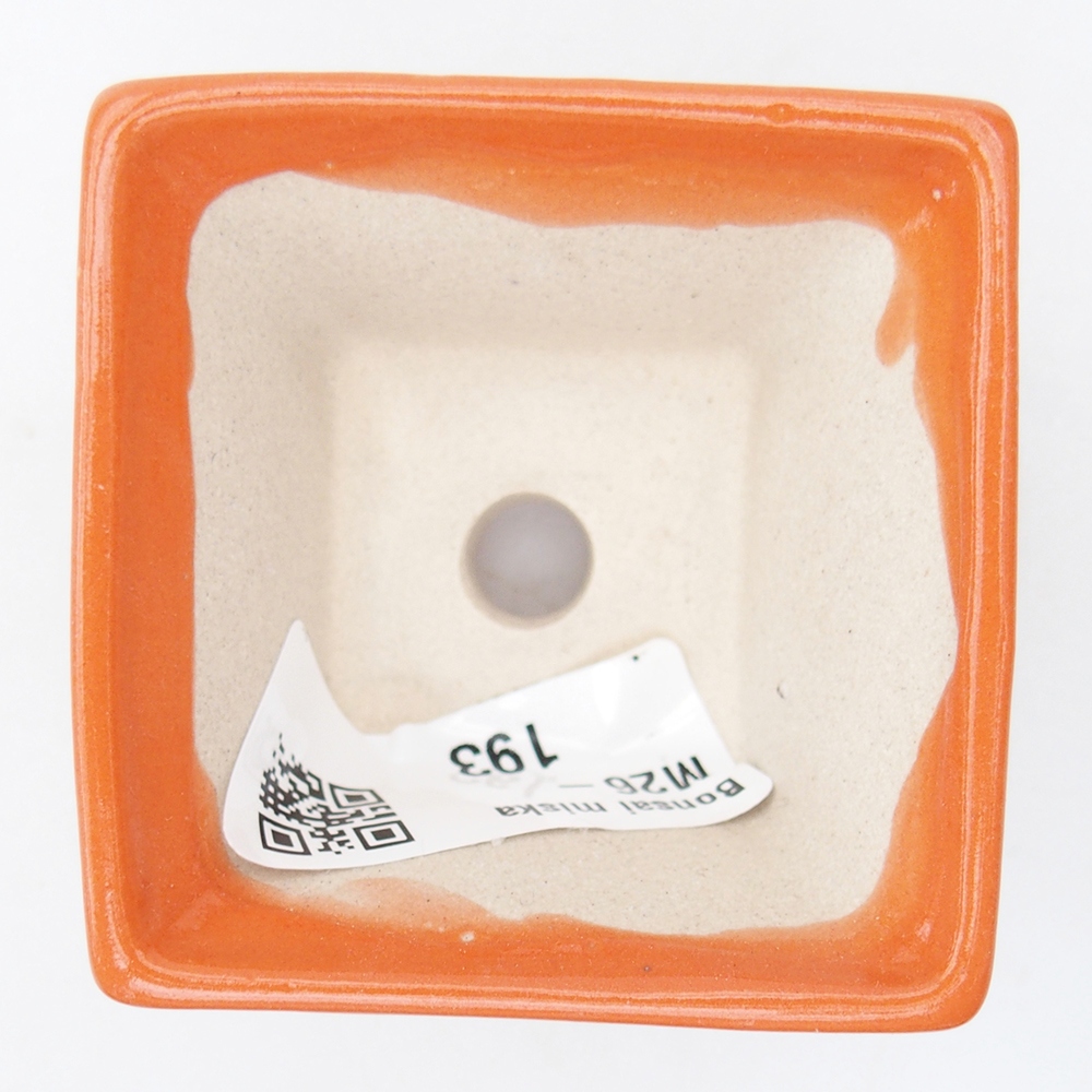 Mini bol bonsaï 5,5 x 5,5 x 3 cm, orange