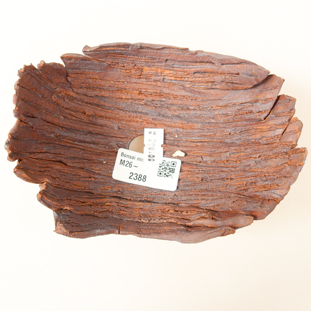 Coquille en céramique  15 x 11 x 7,5 cm, couleur marron