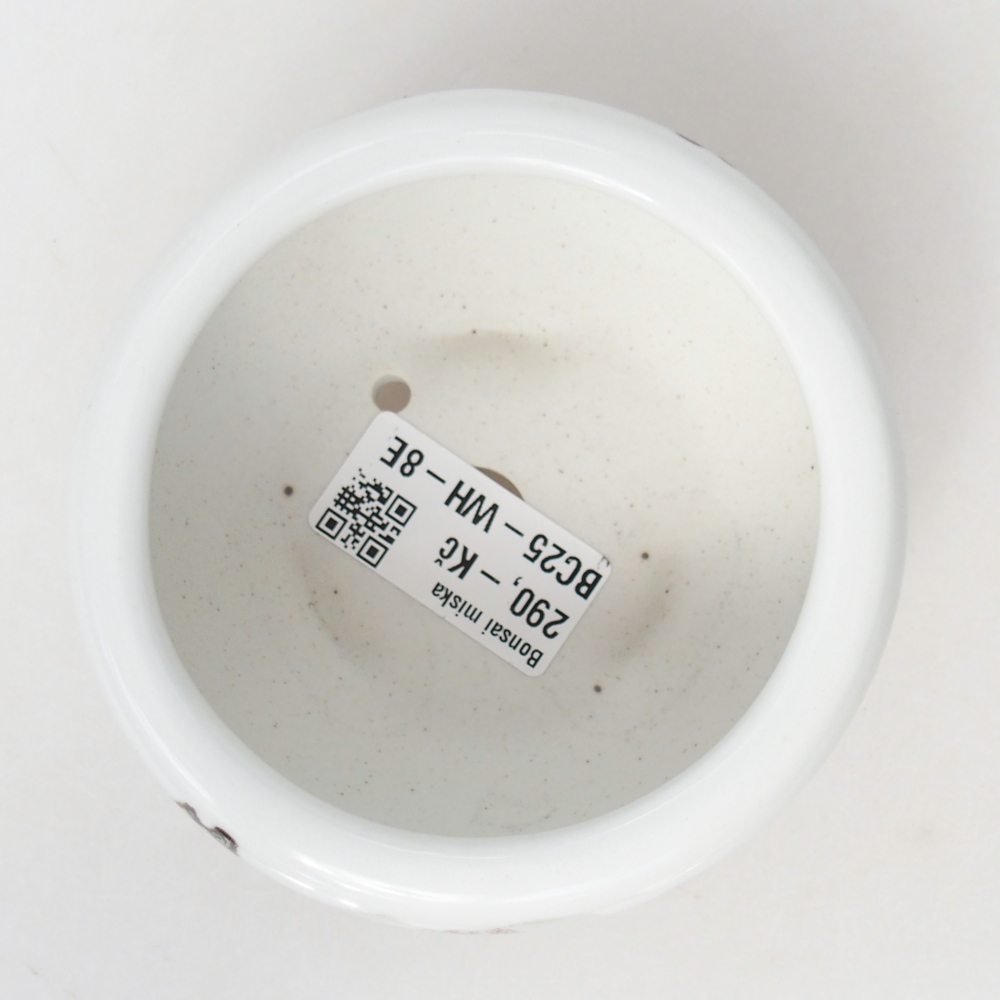 Bol à bonsaï en céramique 10 x 10 x 5 cm, couleur blanc