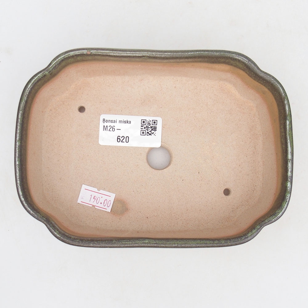 Bol à bonsaï en céramique 16 x 11,5 x 4,5 cm, vert