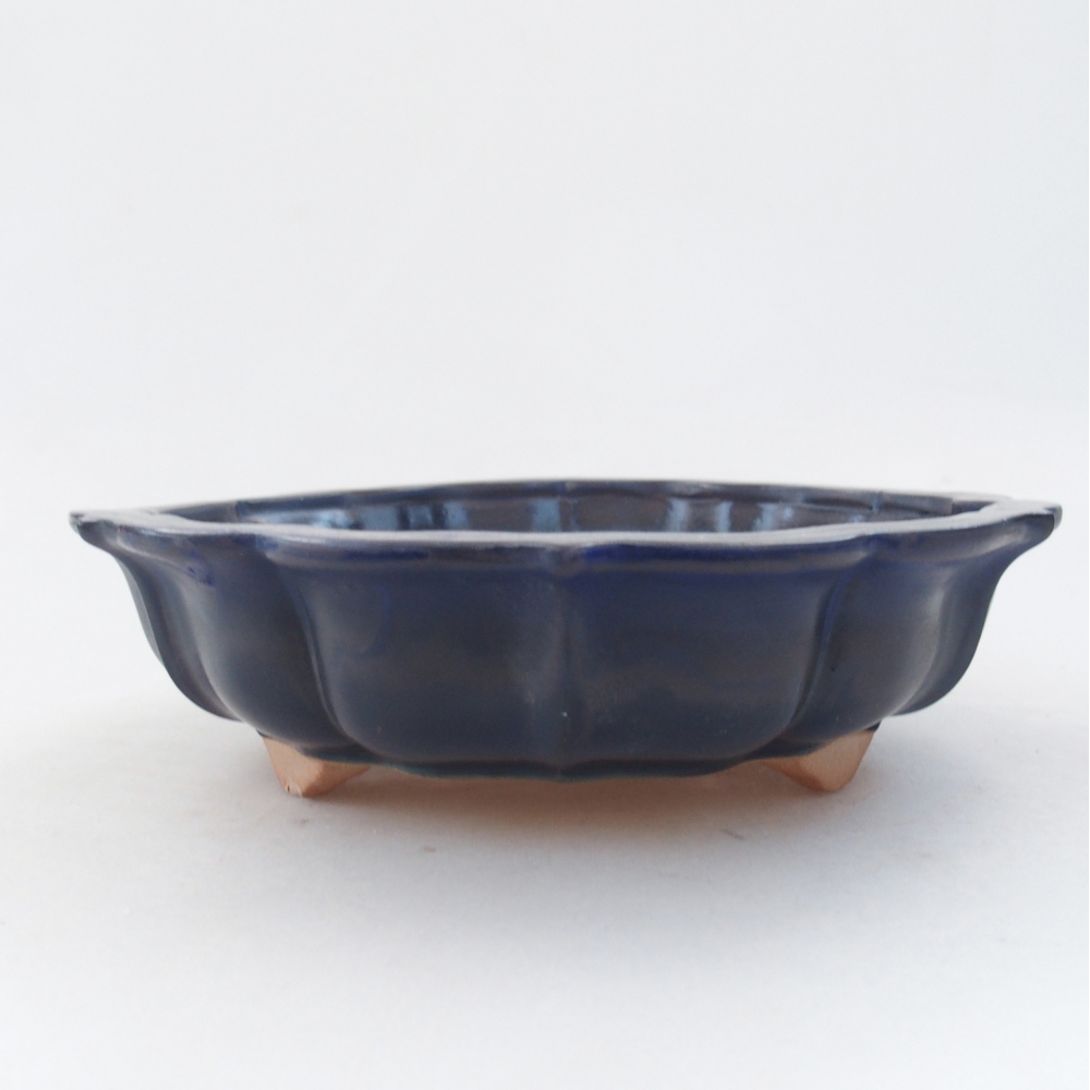 Bol à bonsaï en céramique 19 x 19 x 5 cm, couleur bleu