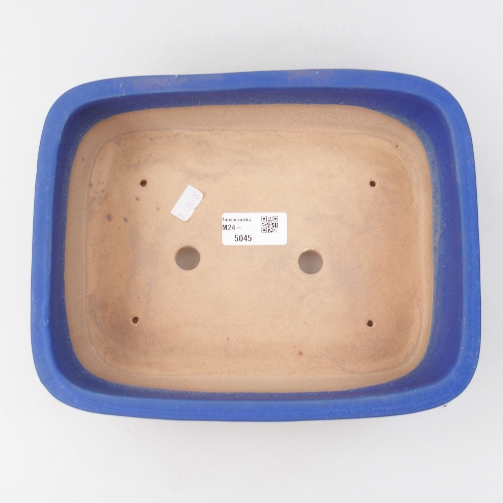 Bol à bonsaï en céramique 24 x 19 x 7,5 cm, couleur bleu