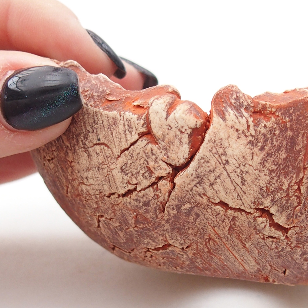 Coquille en céramique 9,5 x 9 x 4 cm , couleur orange