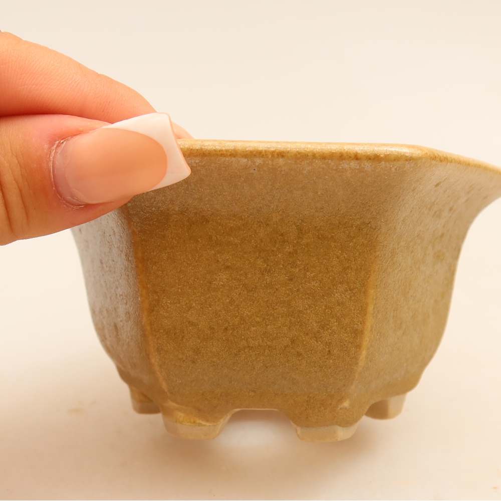 Pot à bonsaï en céramique 10,5 x 9,5 x 5,5 cm, couleur beige