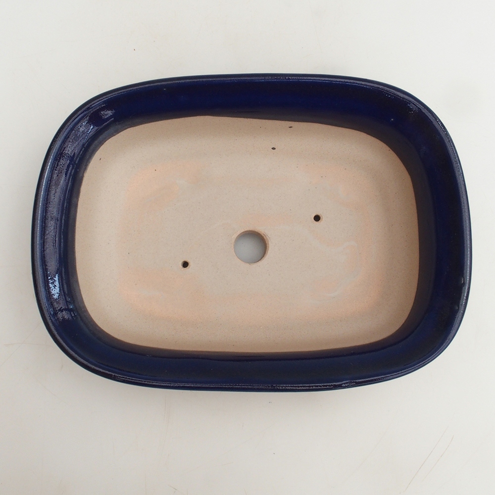 Coupe Bonsaï H25 - 23 x 17 x 5,5 cm - bleu