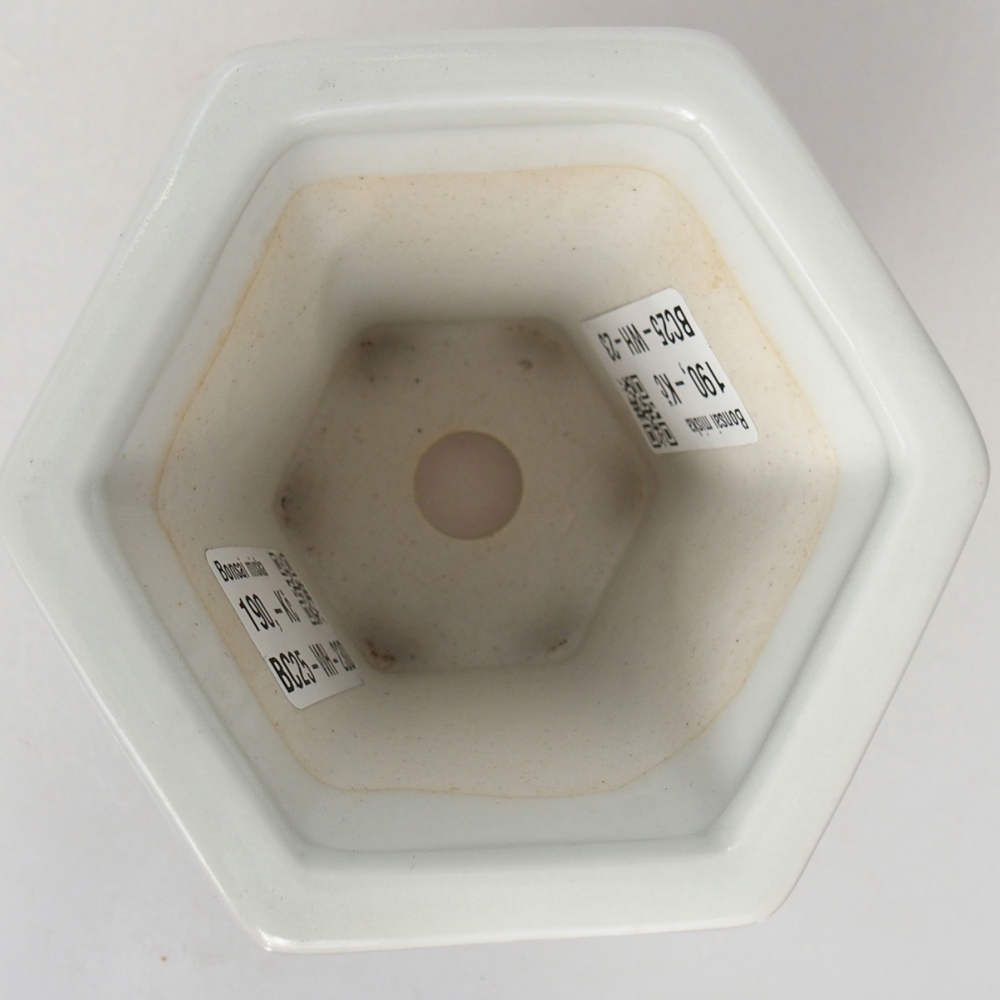 Bol à bonsaï en céramique 10 x 9 x 9 cm, couleur blanc