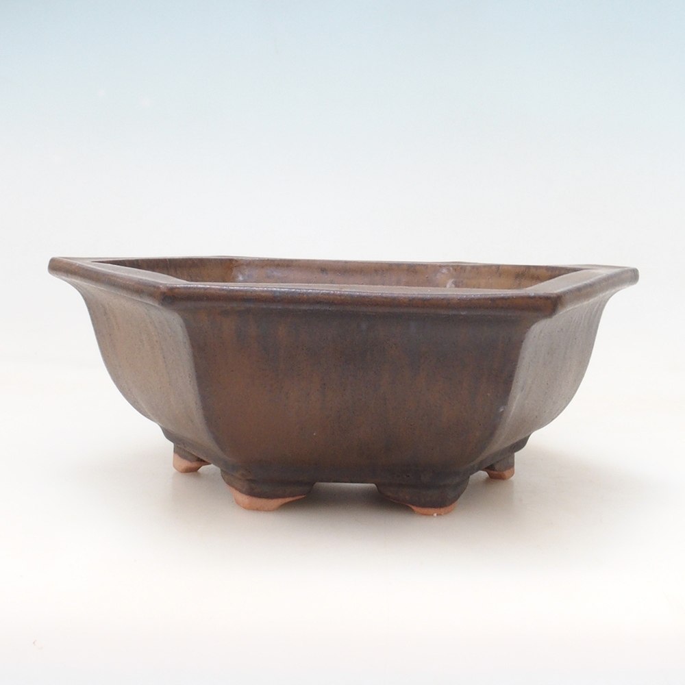 Bol Bonsaï + soucoupe H53 - 19 x 21,5 x 7 cm - brun