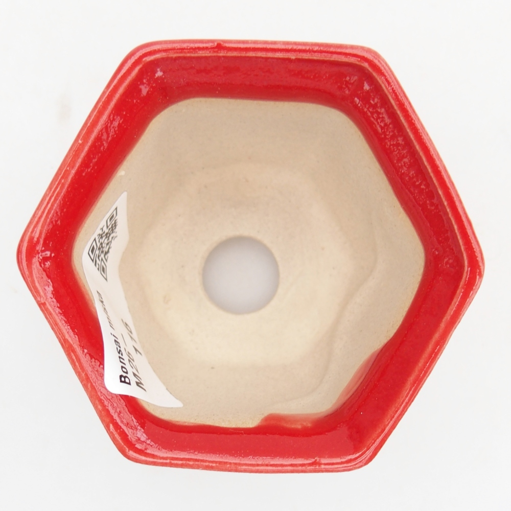 Mini bol bonsaï 7 x 6,5 x 5 cm, couleur rouge