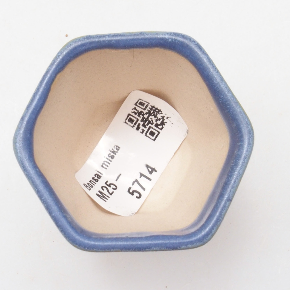 Mini bol bonsaï 5 x 5 x 5 cm, couleur bleu