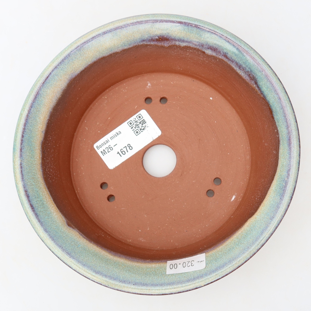 Pot à bonsaï en céramique 16 x 16 x 4,5 cm, couleur verte