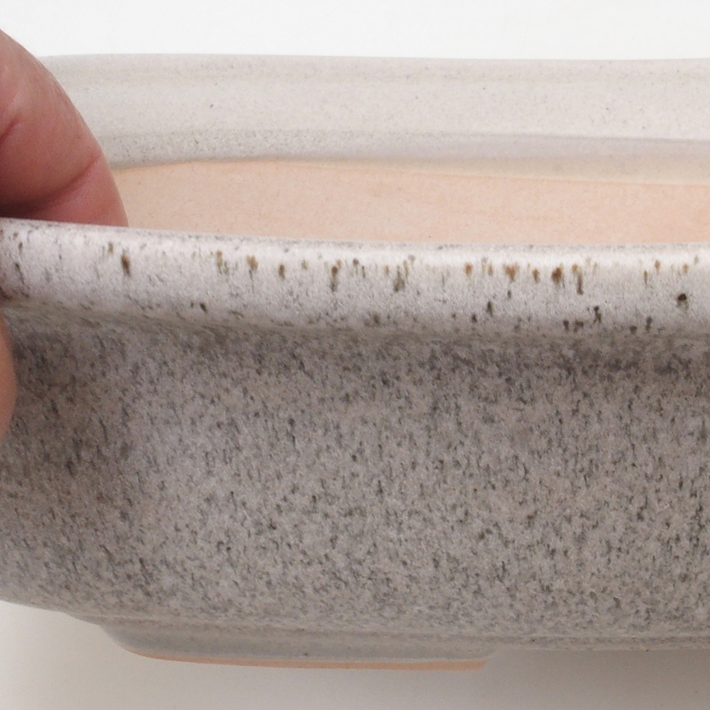 Coupe bonsaï H10 - 37 x 28 x 9 cm - beige