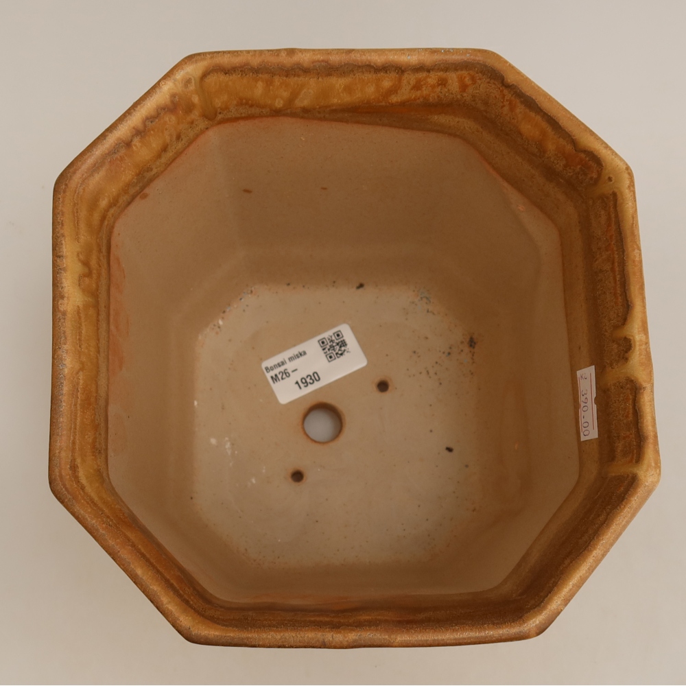 Pot à bonsaï en céramique 17,5 x 17,5 x 15,5 cm, couleur beige