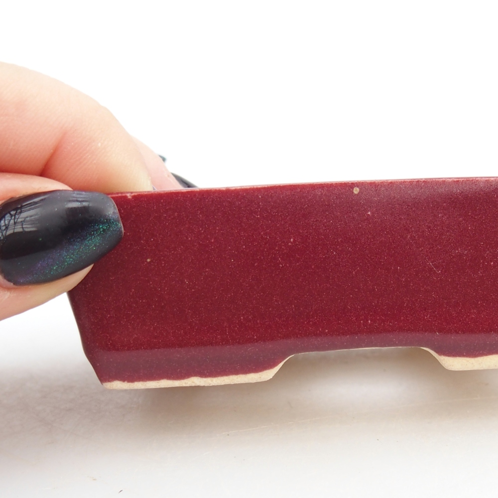 Mini bol bonsaï 8 x 6 x 2,5 cm, bordeaux