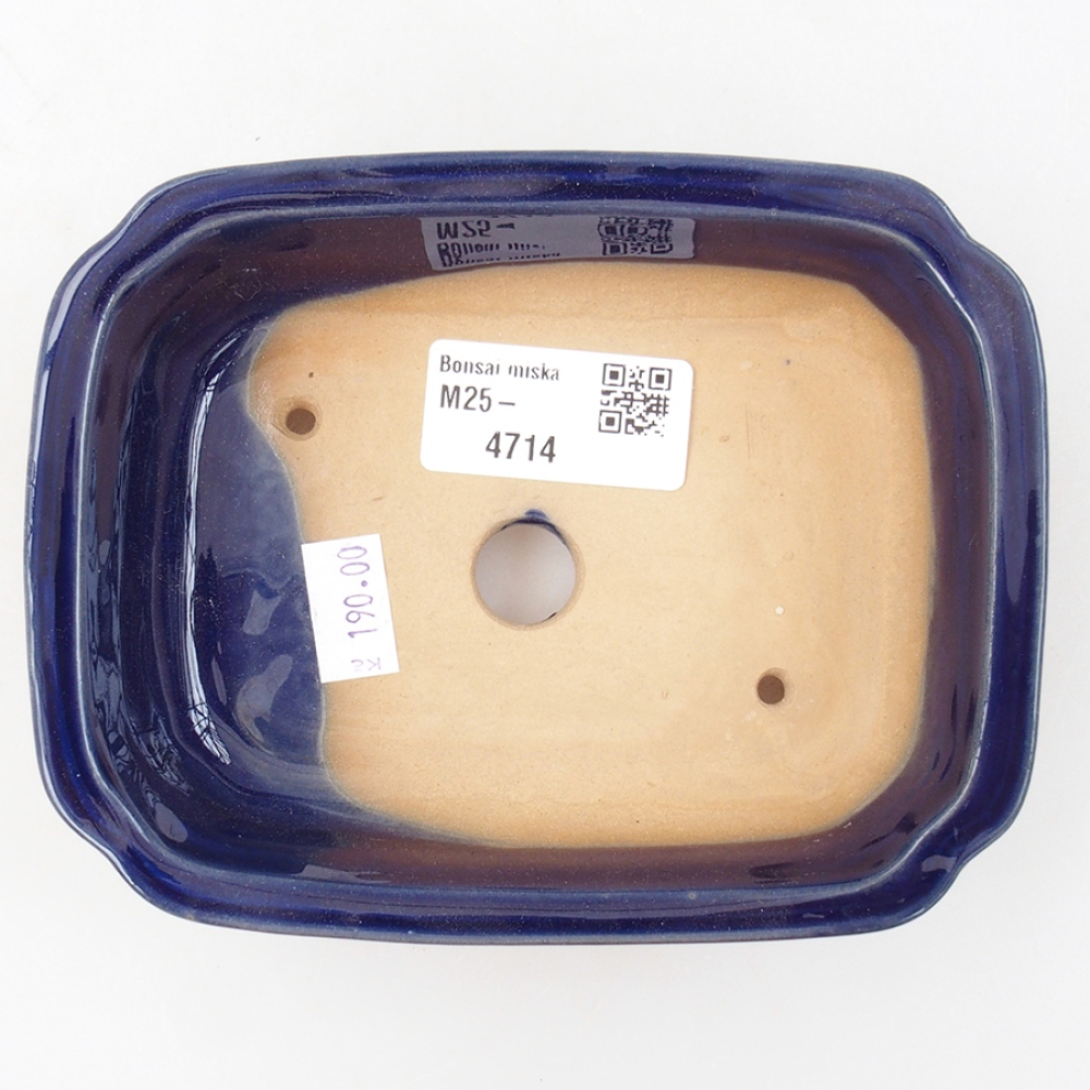 Bol à bonsaï en céramique 14 x 11 x 4 cm, couleur bleu
