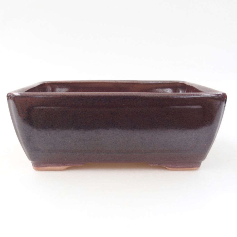 Bol à bonsaï en céramique 22 x 17 x 5 cm, vert