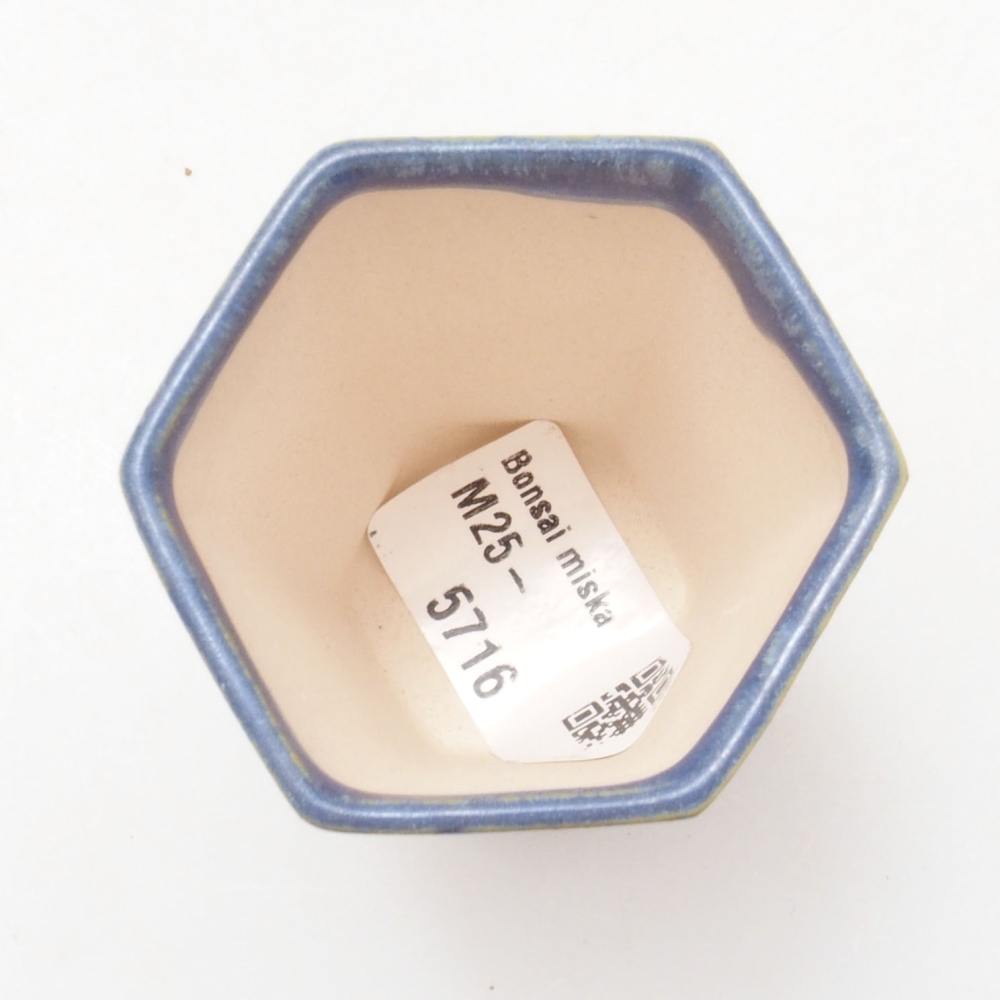 Mini bol bonsaï 4,5 x 4,5 x 6,5 cm, couleur bleu