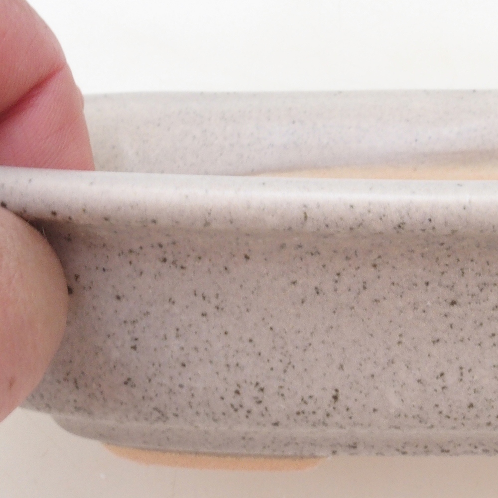 Coupe bonsaï H02 - 19 x 13 x 5 cm - beige