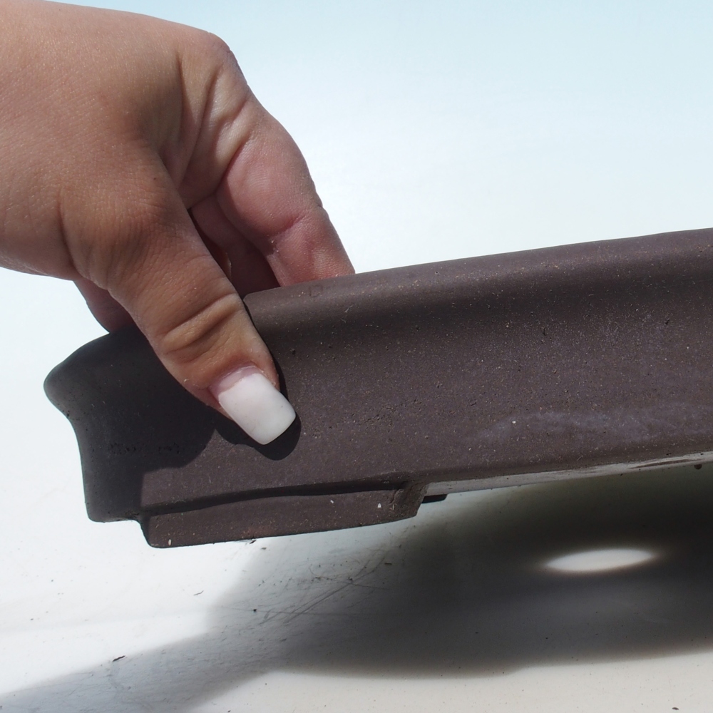 Bol pour bonsaï 38 x 21 x 5 cm bouleau brun