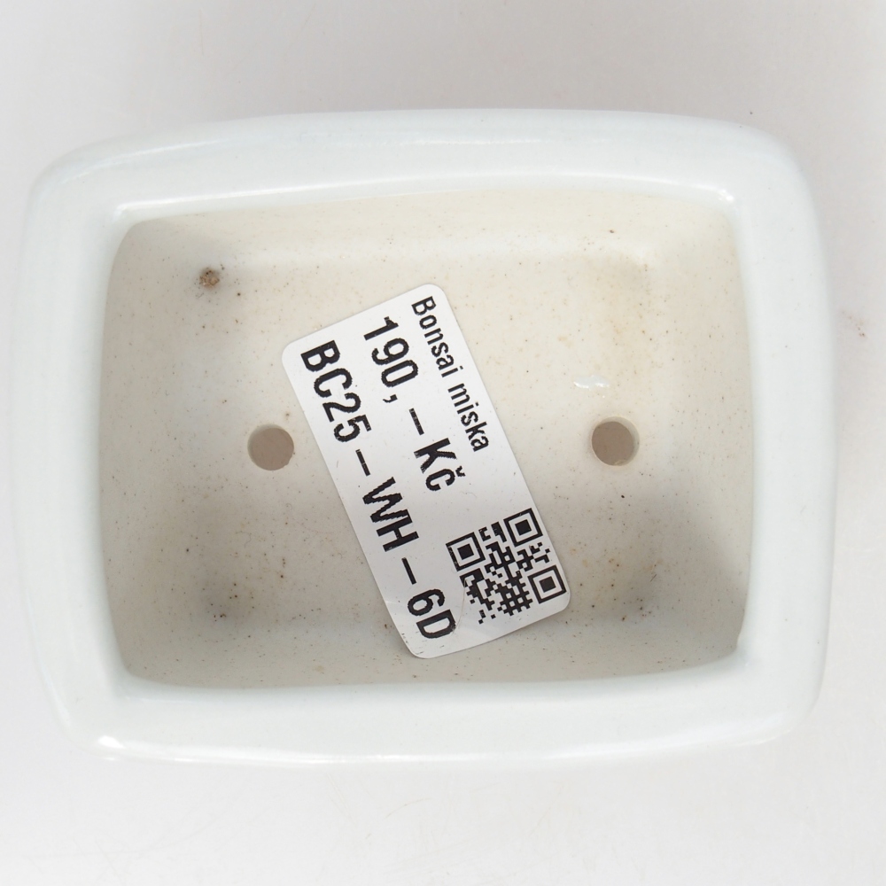 Mini bol bonsaï 8 x 6,5 x 3,5 cm, blanc