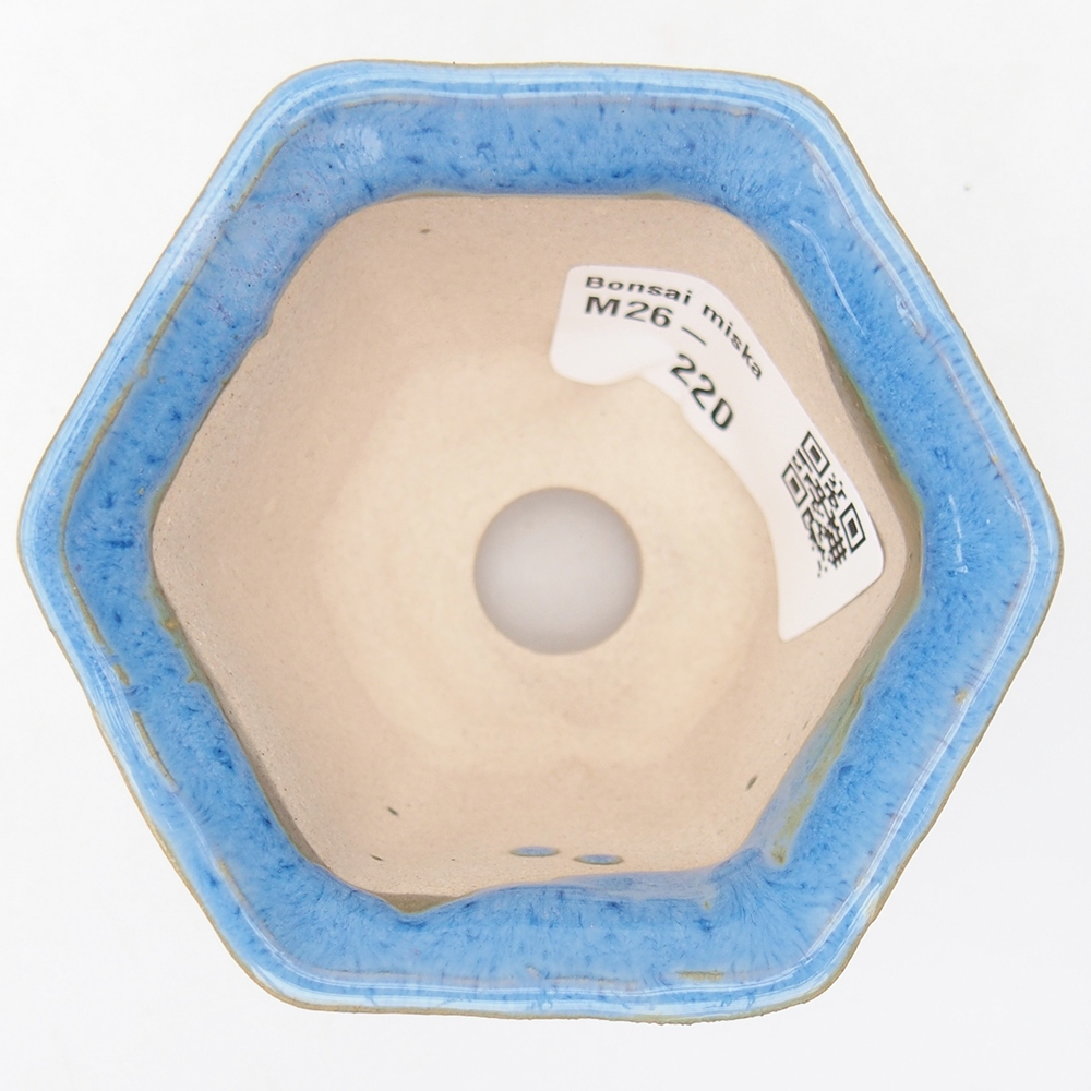 Mini bol bonsaï 4 x 6,5 x 5 cm, couleur bleu