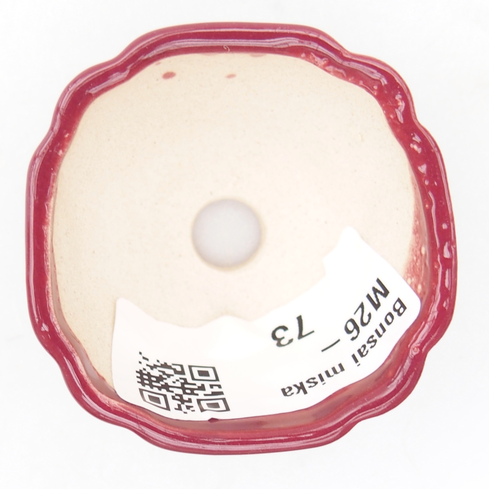 Mini bol bonsaï 4,5 x 4,5 x 2,5 cm, bordeaux