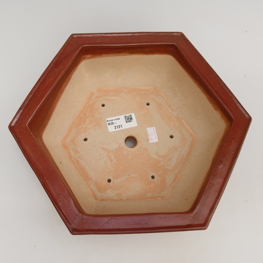 Pot à bonsaï en céramique 28 x 24,5 x 9 cm, couleur bordeaux