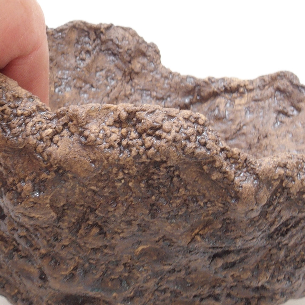 Coquille en céramique 13 x 11 x 12 cm , couleur marron