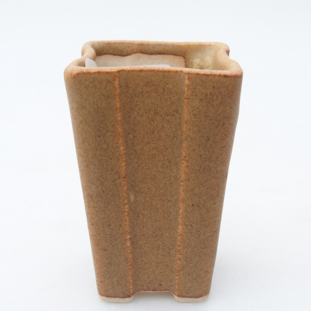 Mini bol à bonsaï 3,5 x 3,5 x 5,5 cm, brun