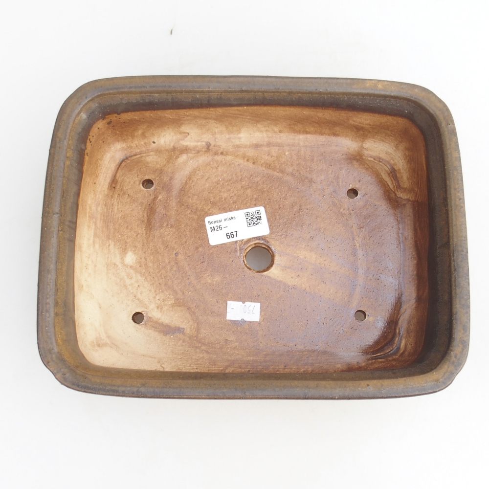Bol à bonsaï en céramique 25 x 20 x 7,5 cm, brun