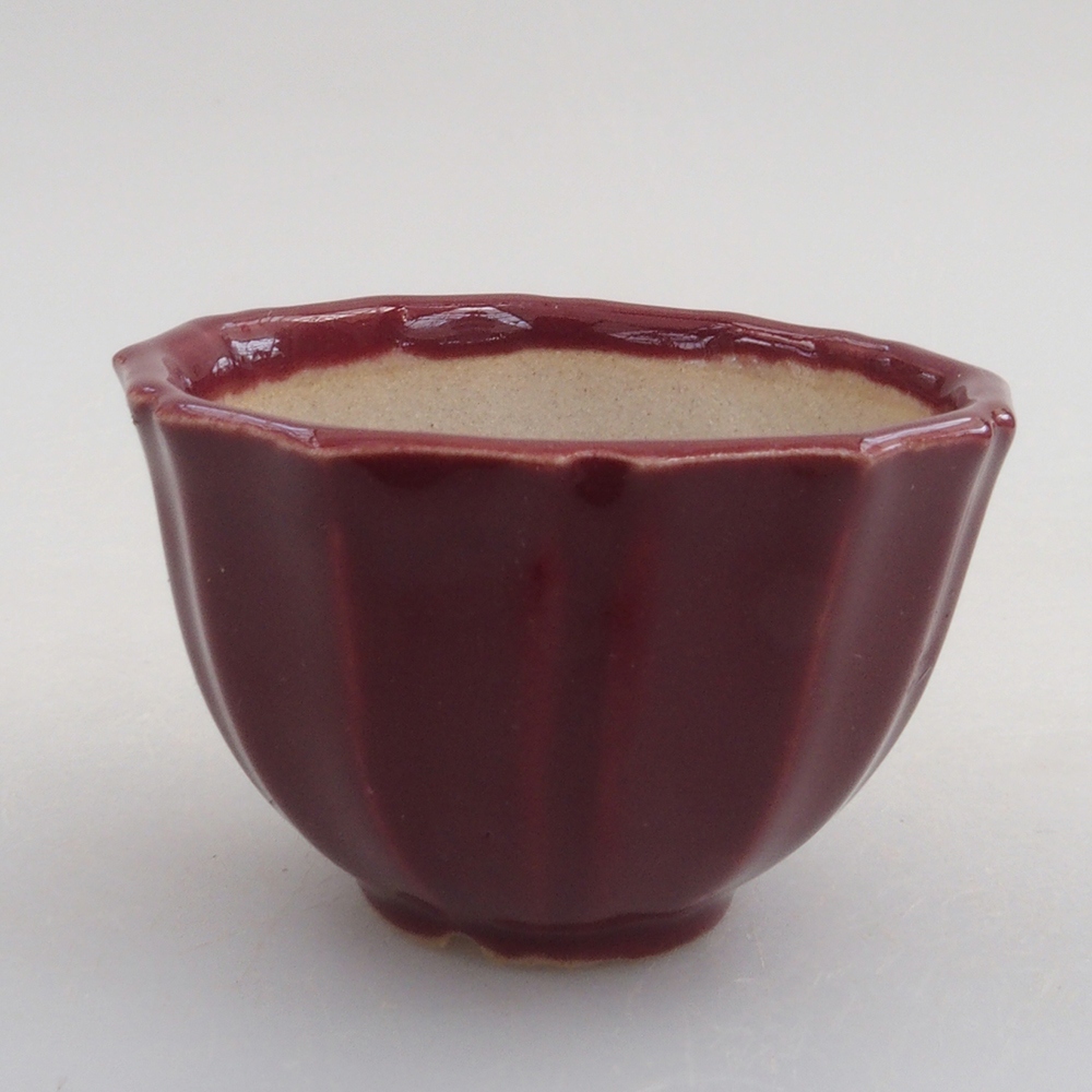 Mini bol bonsaï 5 x 5 x 3 cm, bordeaux