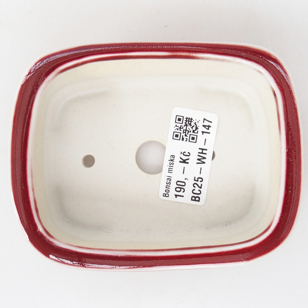 Bol à bonsaï en céramique 11 x 8,5 x 3,5 cm, couleur rouge
