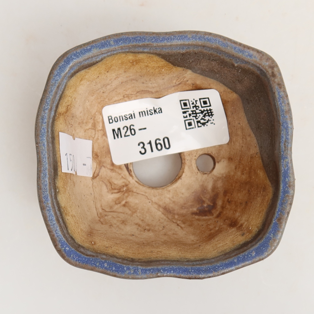 Bol à bonsaï en céramique 7 x 7 x 3,5 cm, couleur bleu