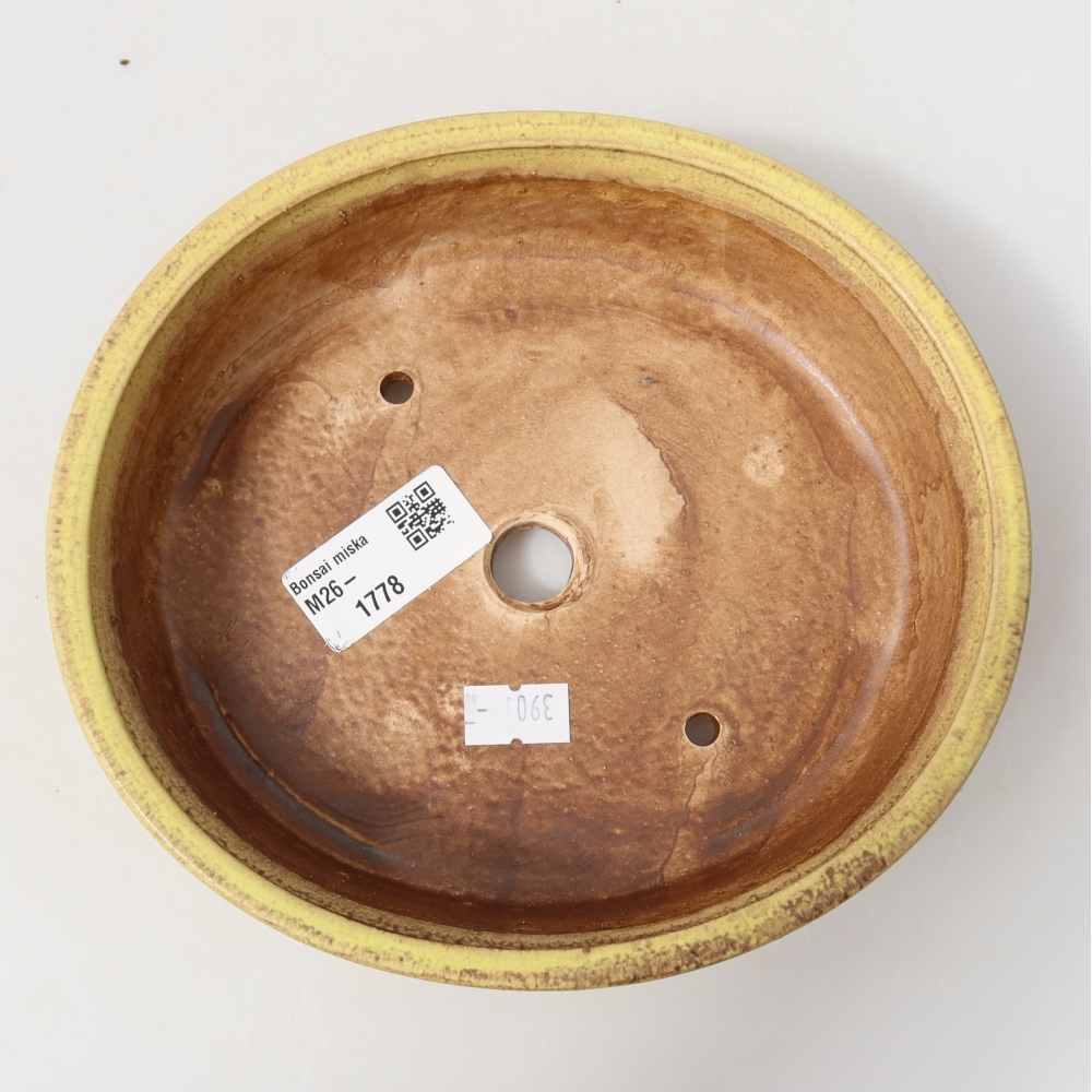 Pot à bonsaï en céramique 18 x 16,5 x 4,5 cm, couleur jaune