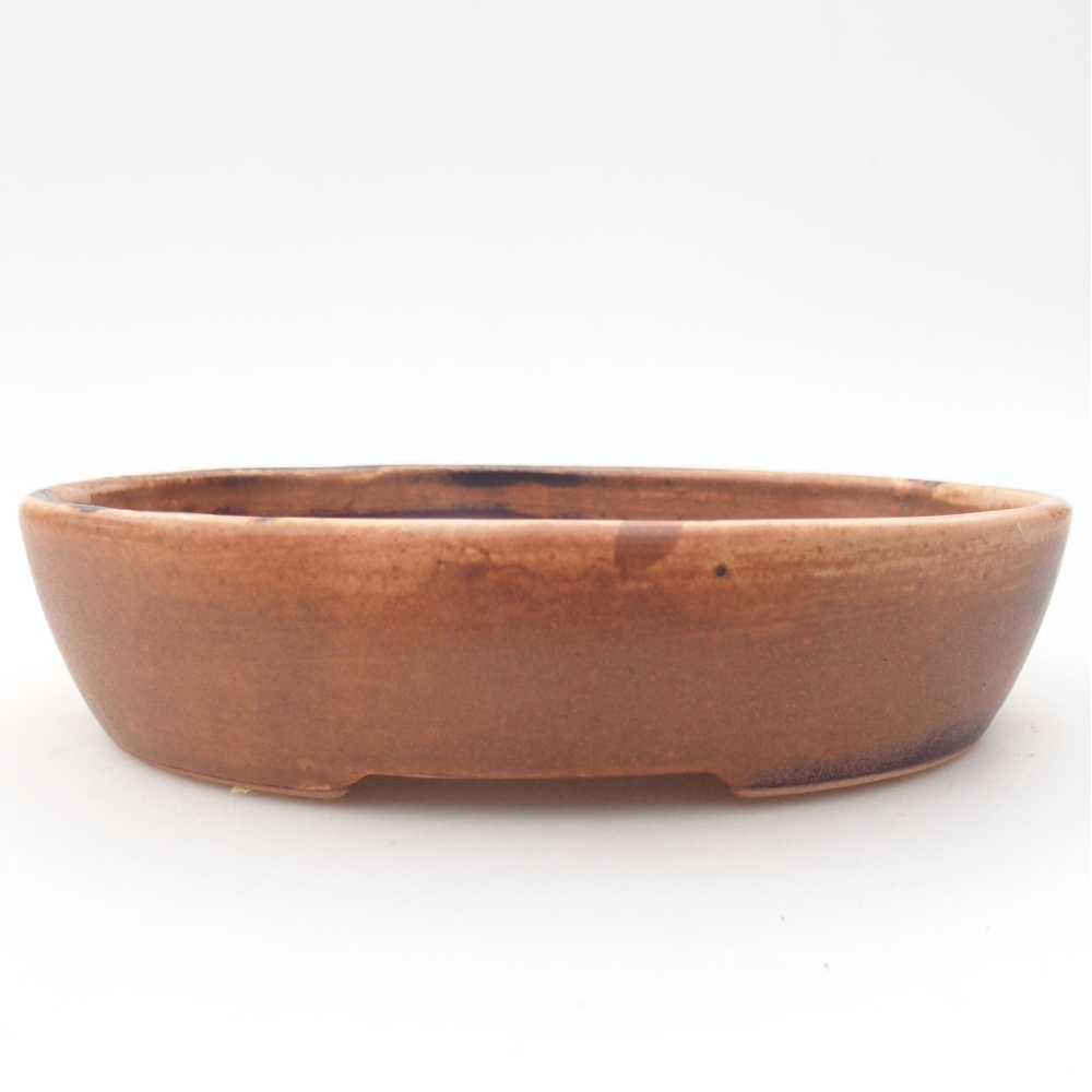 Bol à bonsaï en céramique 17 x 14 x 4 cm, rose