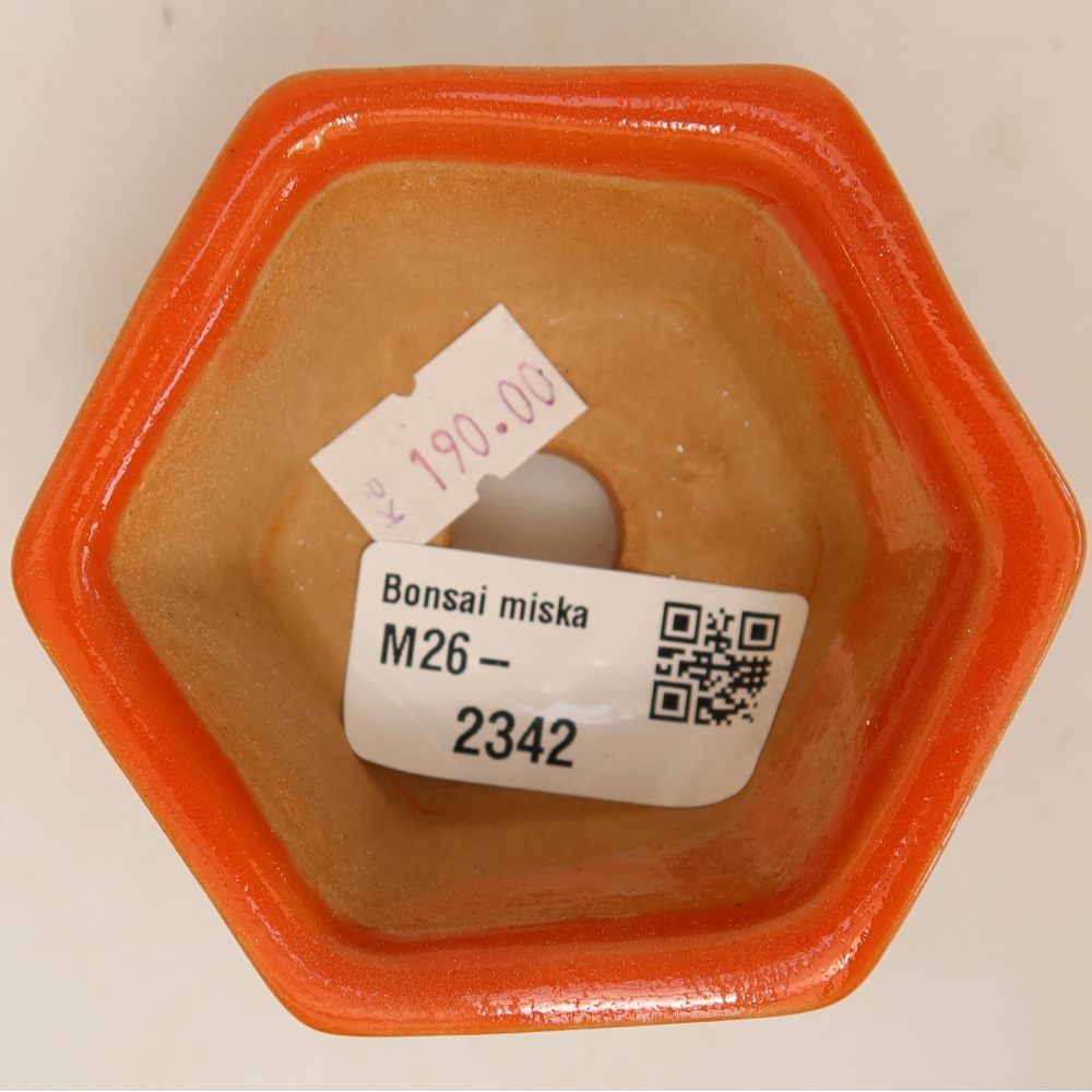 Pot à bonsaï en céramique 7,5 x 7 x 4 cm, couleur orange
