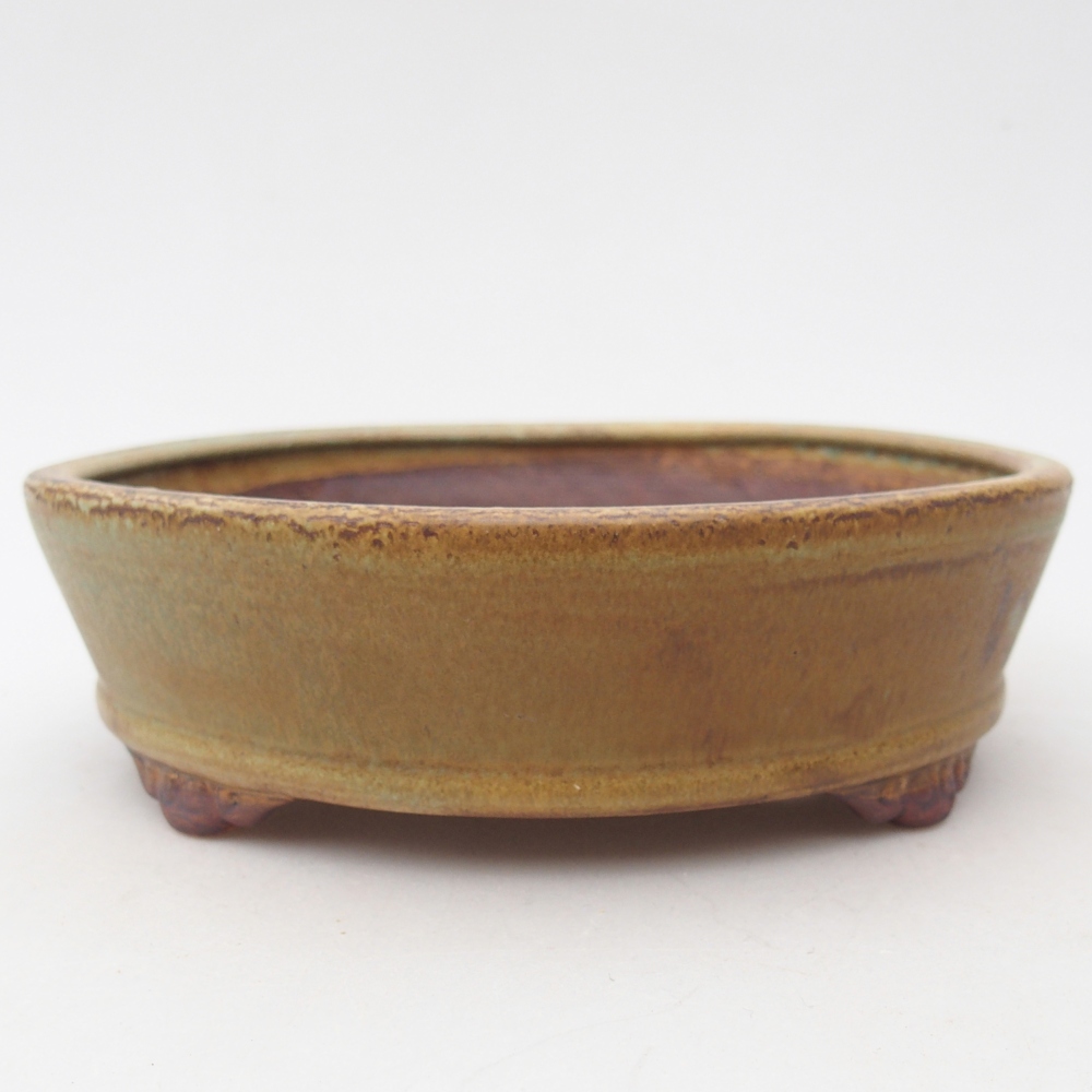 Bol à bonsaï en céramique 17,5 x 17,5 x 5 cm, vert