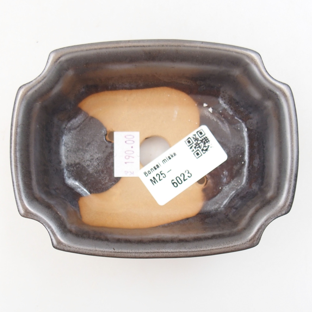 Bol à bonsaï en céramique 22 x 17 x 5 cm, vert