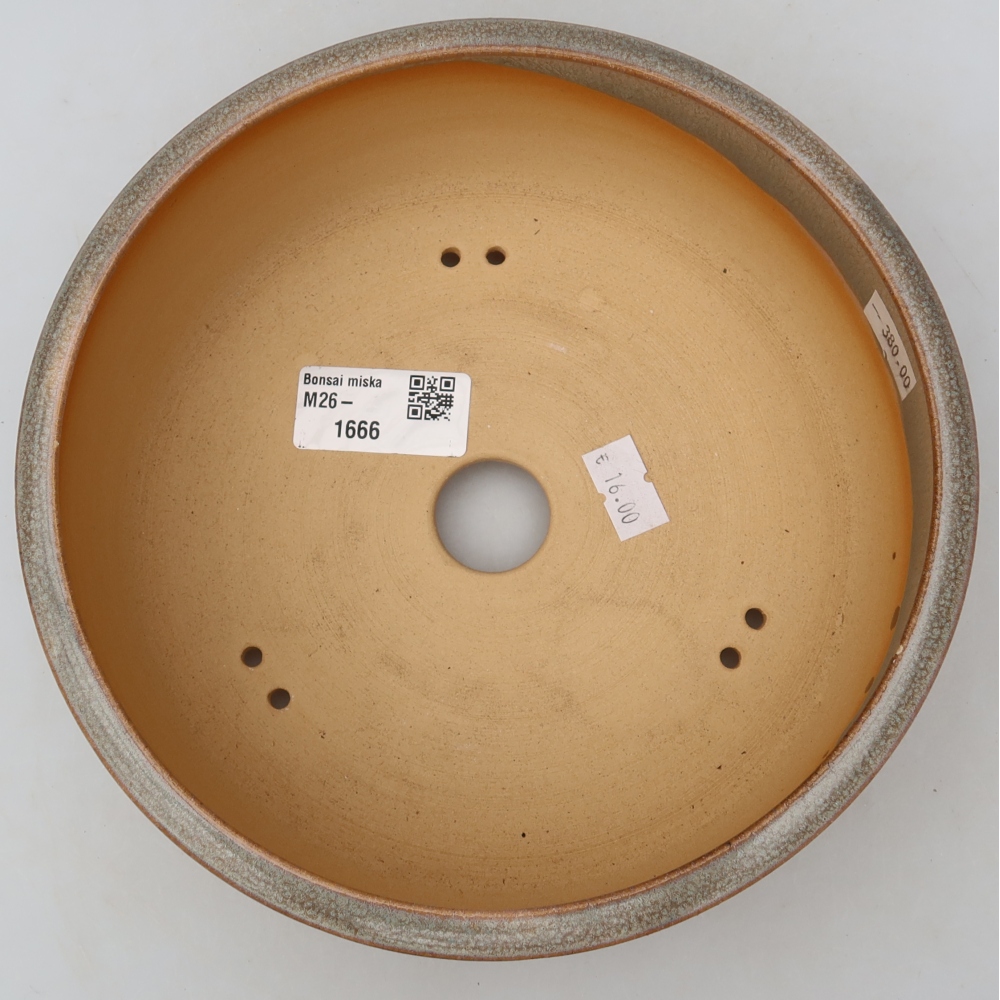 Pot à bonsaï en céramique 19 x 19 x 6,5 cm, couleur beige